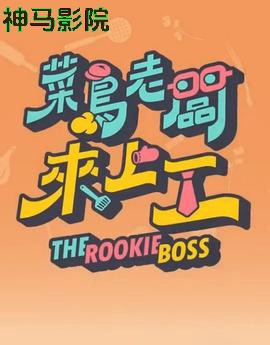 菜鸟老板来上工